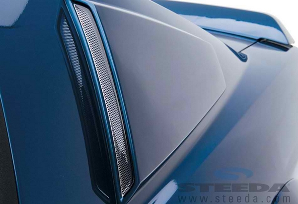 3D Carbon Mustang Window Scoops (05-09)